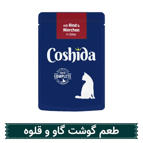 پوچ گربه کوشیدا کوشت گاو و جگر