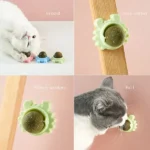 تشویقی آبنبات کتنیپ دیواری (catnip wall stick) برند dps