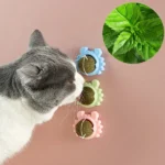 تشویقی آبنبات کتنیپ دیواری (catnip wall stick) برند dps