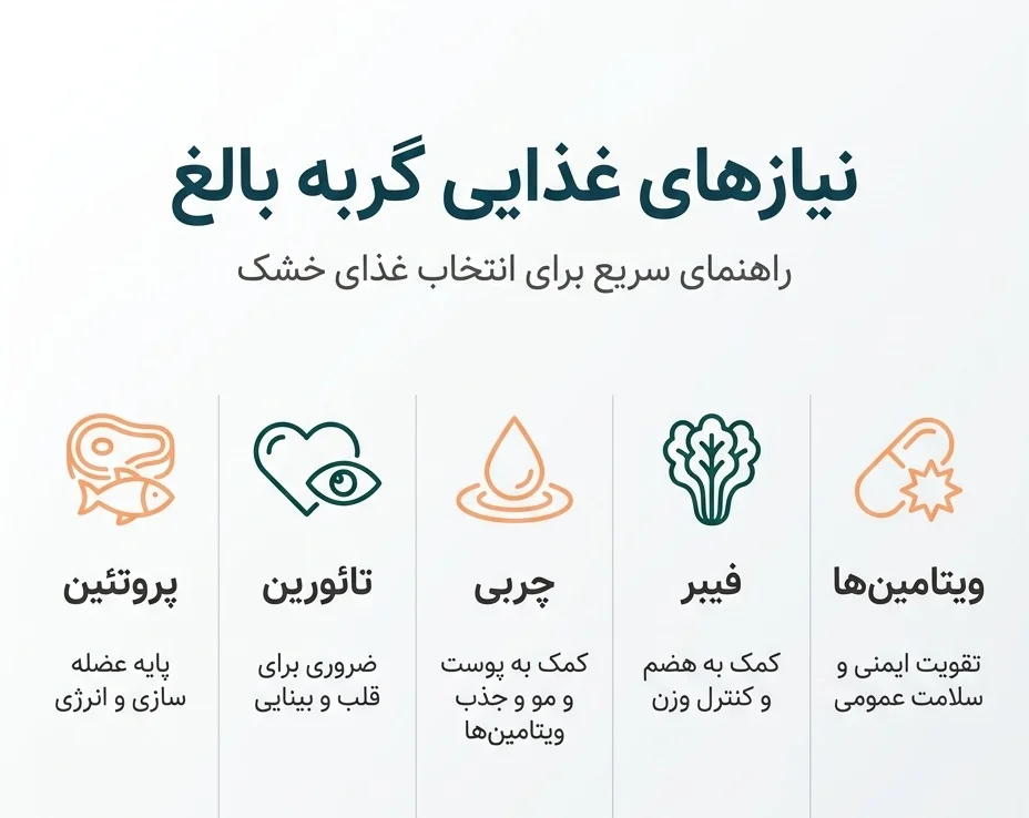 اینفوگرافیک نیازهای غذایی گربه بالغ شامل پروتئین، تائورین، چربی، فیبر و ویتامین_ها