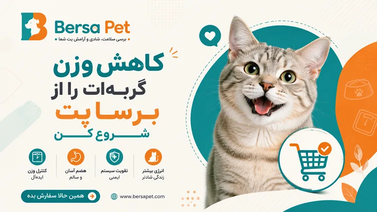 خرید بهترین غذای گربه لایت از فروشگاه آنلاین پت شاپ برسا پت با ضمانت اصالت