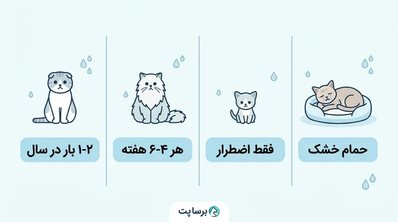 جدول دفعات حمام گربه بر اساس نژاد و شرایط (مو کوتاه، مو بلند، بچه گربه، مسن)