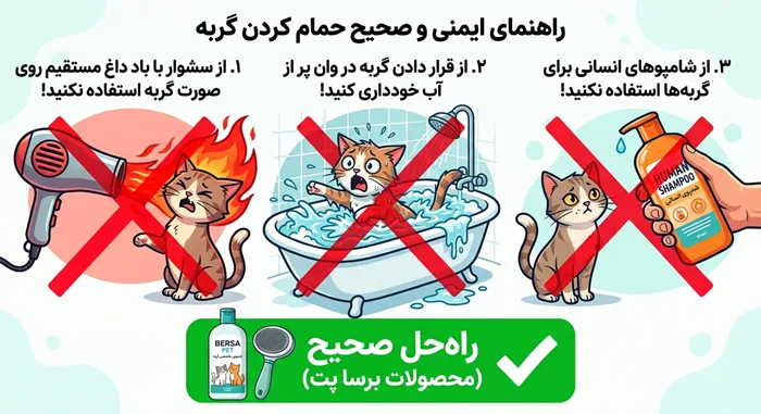اشتباهات رایج در حمام گربه: شامپوی انسان، آب عمیق، سشوار داغ