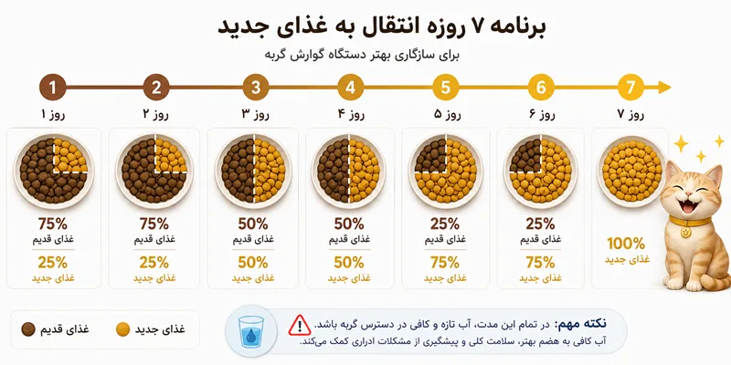 روش ۷ روزه تعویض و معرفی غذای جدید به گربه برای جلوگیری از اسهال و استفراغ