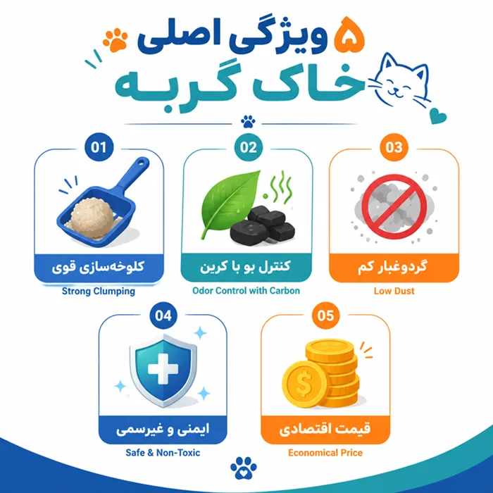 اینفوگرافیک ۵ ویژگی طلایی خاک گربه 