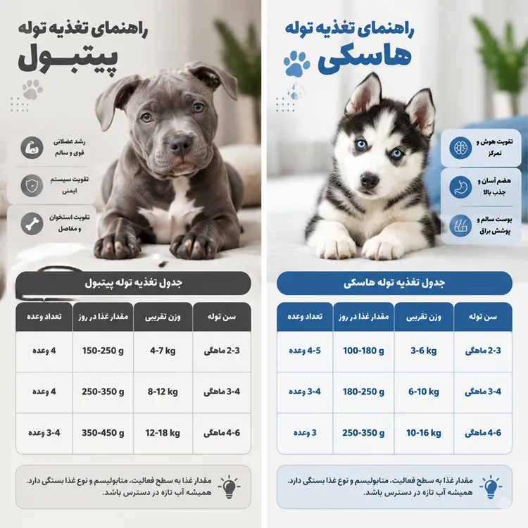 برنامه غذایی توله پیت بول و هاسکی ۲ تا ۶ ماهگی - برسا پت