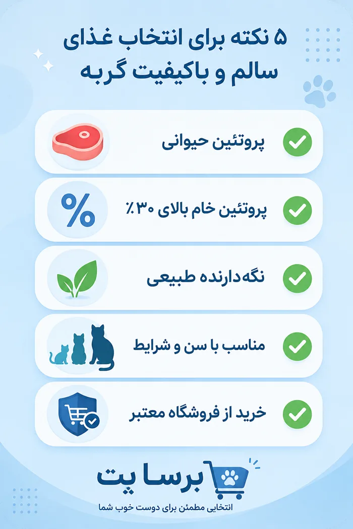 چکلیست خرید غذای باکیفیت گربه از بِرسا پت؛ ۵ سوال کلیدی قبل از خرید