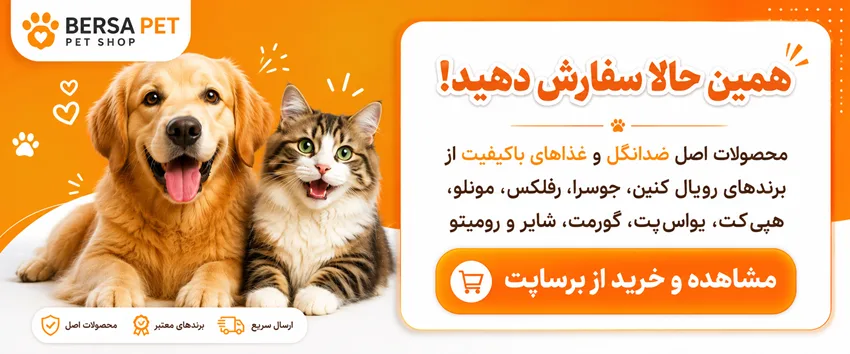 خرید محصولات ضد انگل و غذای سگ و گربه از فروشگاه اینترنتی برساپت