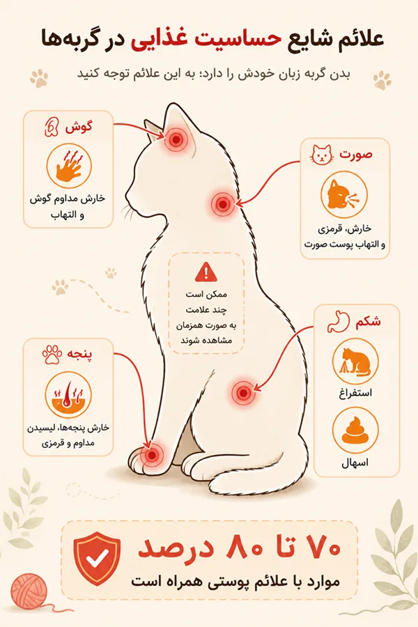 علائم حساسیت غذایی در گربه؛ خارش، ریزش مو، مشکلات گوارشی و پوستی