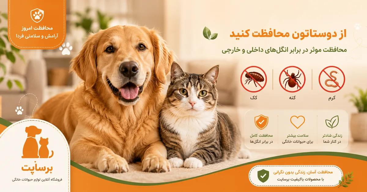 تشخیص انگل سگ و گربه - علائم و روش های پیشگیری - برسا پت