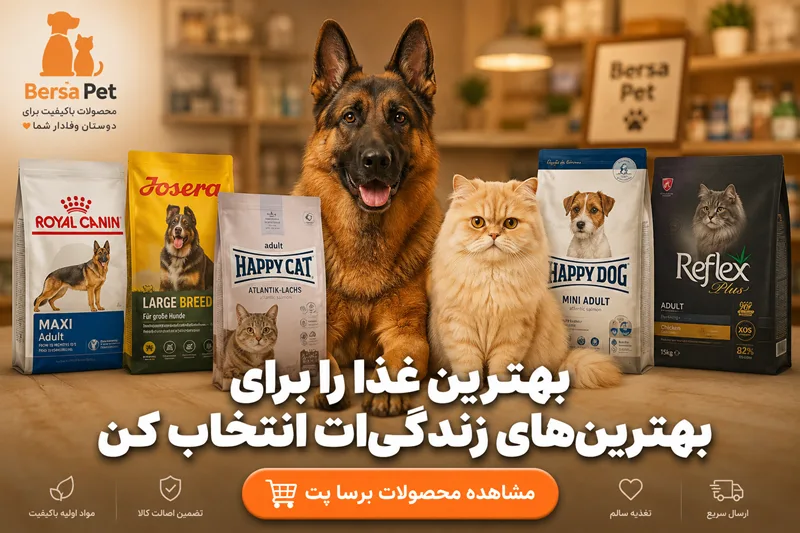خرید غذای خشک باکیفیت سگ و گربه از فروشگاه اینترنتی برسا پت با بهترین برندها