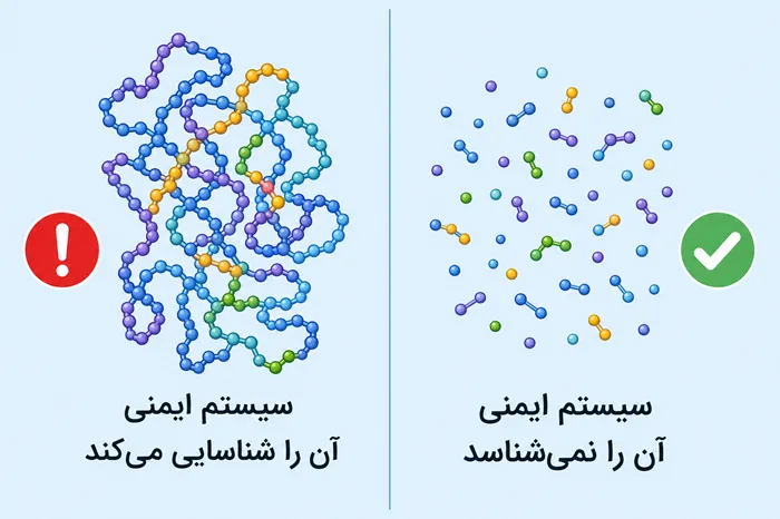 تفاوت پروتئین هیدرولیز شده و پروتئین معمولی در غذای گربه برای حساسیت غذایی