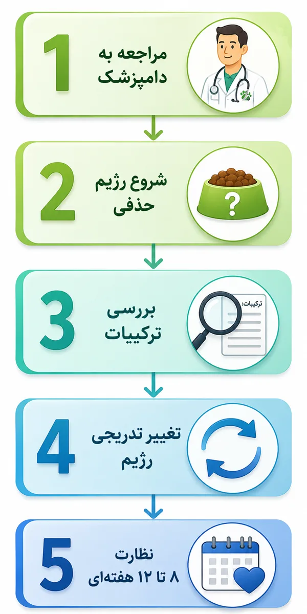 راهنمای گام‌به‌گام انتخاب غذای مناسب برای گربه‌های دارای حساسیت غذایی