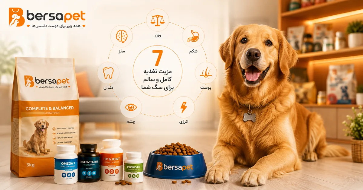 راهنمای جامع نشانه‌های کمبود مواد مغذی در سگ‌ها - مجله بِرسا پت