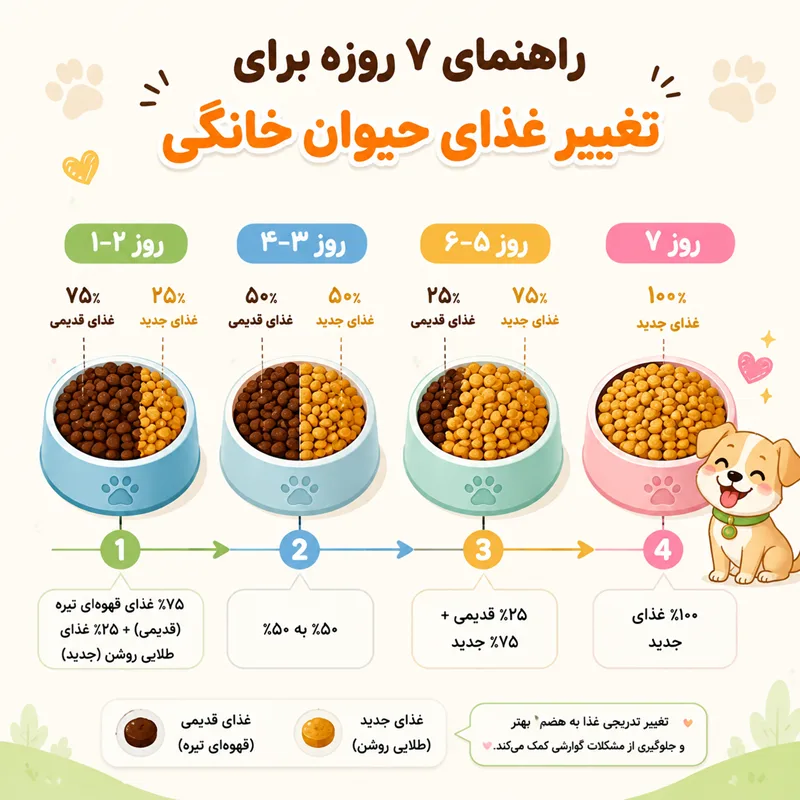 جدول برنامه ۷ روزه تغییر رژیم غذایی به غذای بدون غلات برای جلوگیری از مشکلات گوارشی سگ و گربه