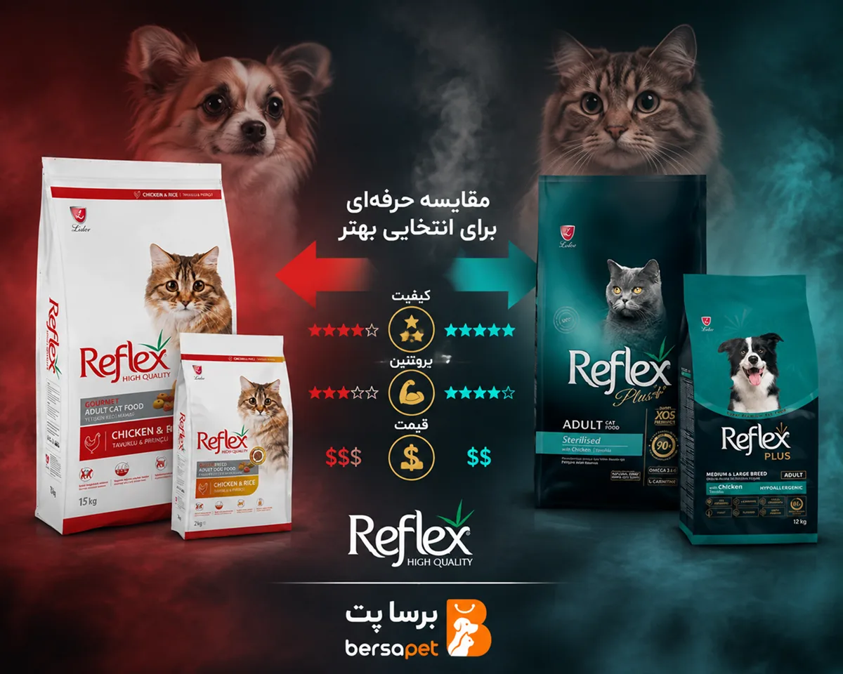 مقایسه جامع برند رفلکس و رفلکس پلاس، تفاوت کیفیت و ارزش خرید